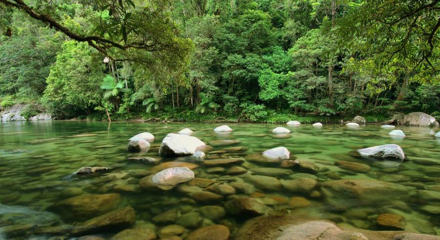 Una aventura australiana verdaderamente encantadora