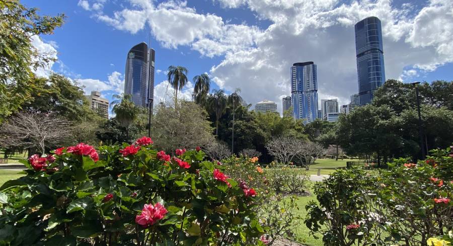 Uma aventura australiana verdadeiramente encantadora