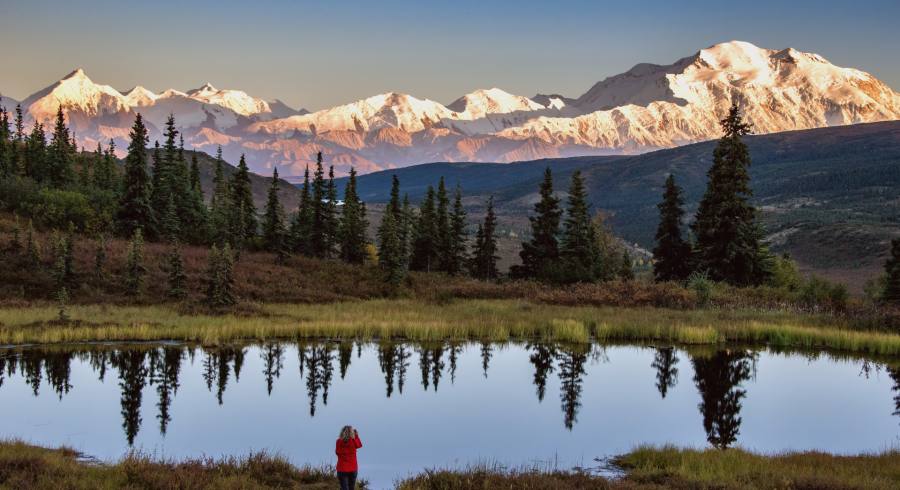 Alaska Vacation Ideas: Things To Know Before You Go