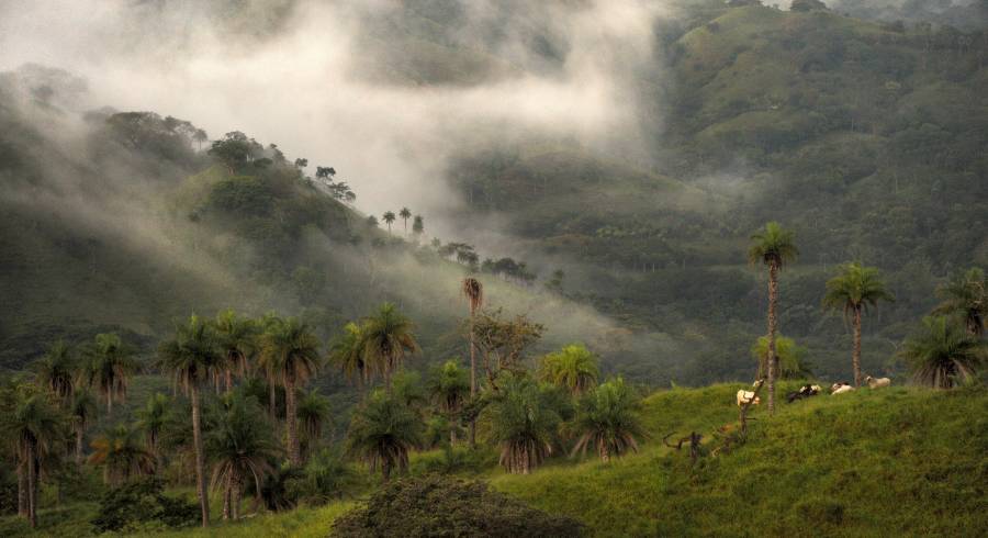 ¿Por qué visitar Costa Rica?