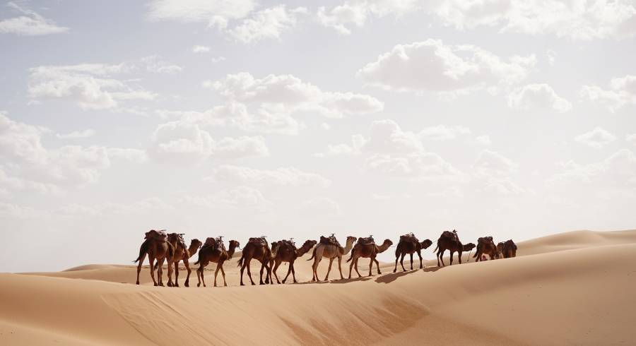 Die beste Reisezeit für Marokko je nach Jahreszeit