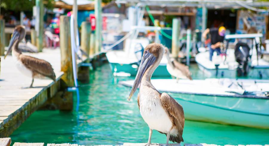 Ostküste oder Westküste: Wohin auf meiner USA-Reise?