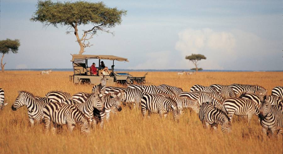 Höhepunkte von Kenia und Tansania: Masai Mara, Serengeti und Sansibar