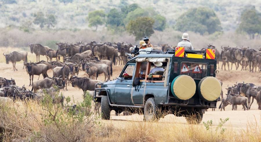 Höhepunkte von Kenia und Tansania: Masai Mara, Serengeti und Sansibar