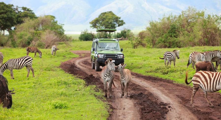 Höhepunkte von Kenia und Tansania: Masai Mara, Serengeti und Sansibar