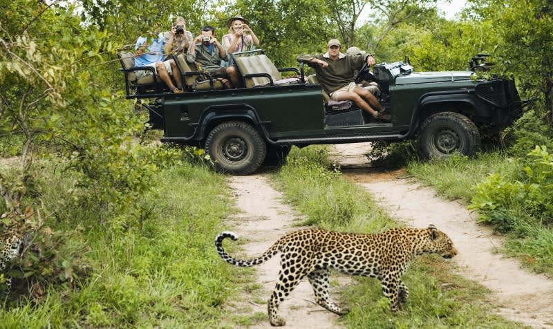 Krüger Nationalpark Pirschfahrt 