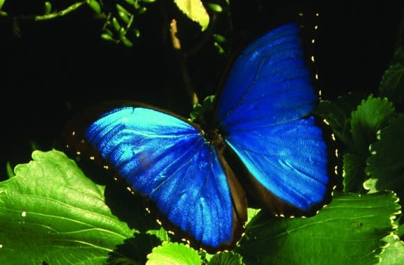 Our Pick: Five Enchanting Animal Encounters