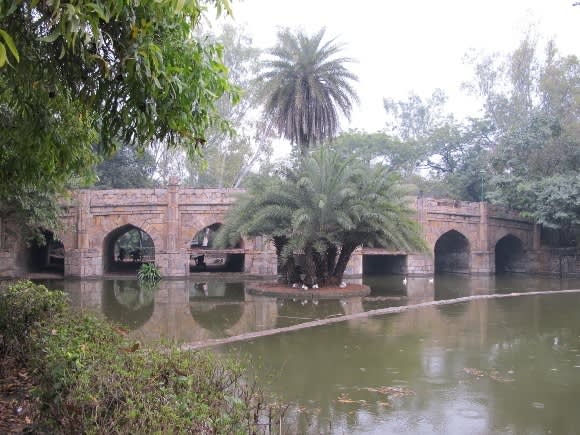 A Taste of Rajasthan in Photos