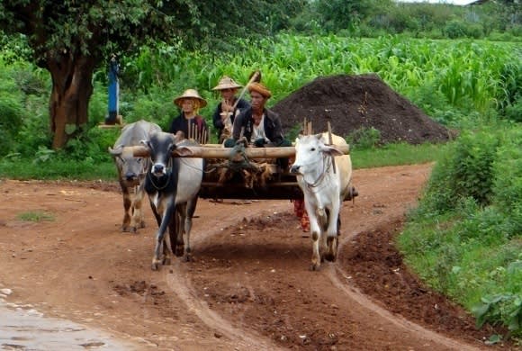 Tribal beliefs of the Lu'ha Tribes on the Road to Mandalay in Myanmar 