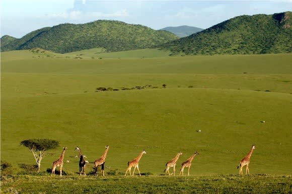 What To Pack For Your Safari Holiday