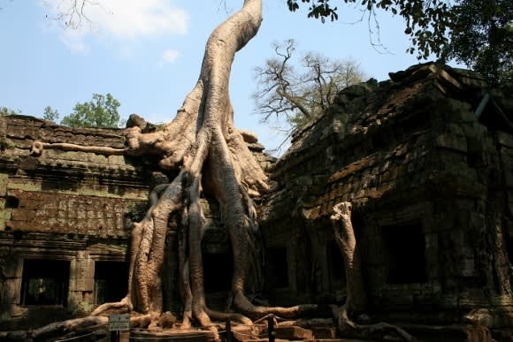 Keith Searby Experiences The Angkor Wat in Cambodia