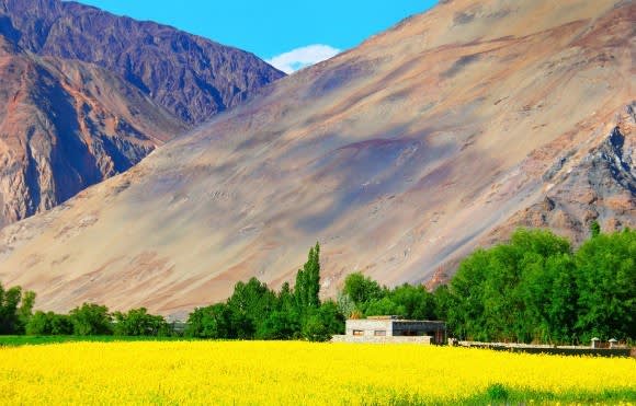 Our Top 10 Things To See in Ladakh