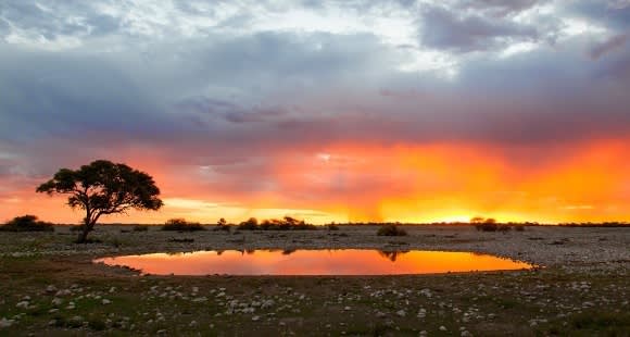 10 Exciting Reasons Why You Should Visit Namibia Now
