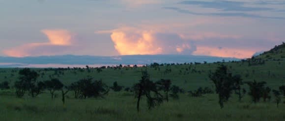 Wild & Tranquil Africa: Game Safaris in Kenya Uncovered