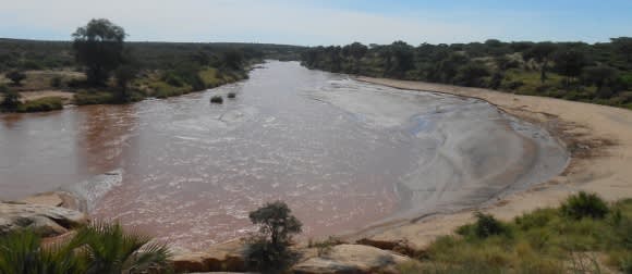 Wild & Tranquil Africa: Game Safaris in Kenya Uncovered