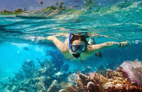 Go snorkeling to discover an amazing underwater world