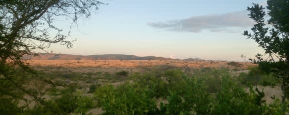Wild & Tranquil Africa: Game Safaris in Kenya Uncovered