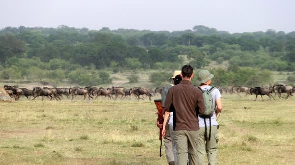 Great Migration Magic in the Serengeti