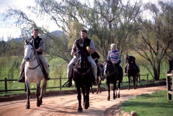 A Taste Of Vine & Wine Experiences in South Africa