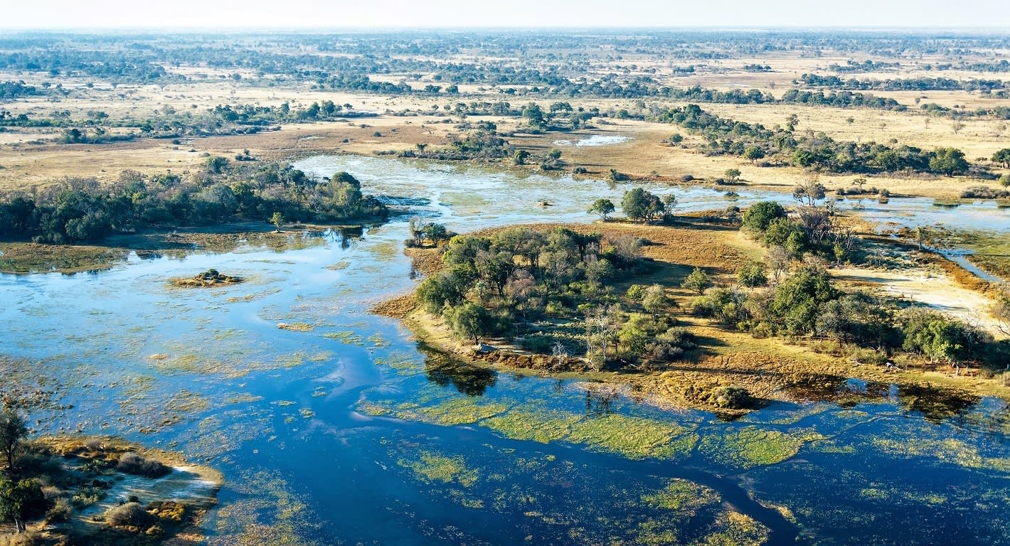 Tansania, Botswana und Sambia: Safaris und Viktoriafälle