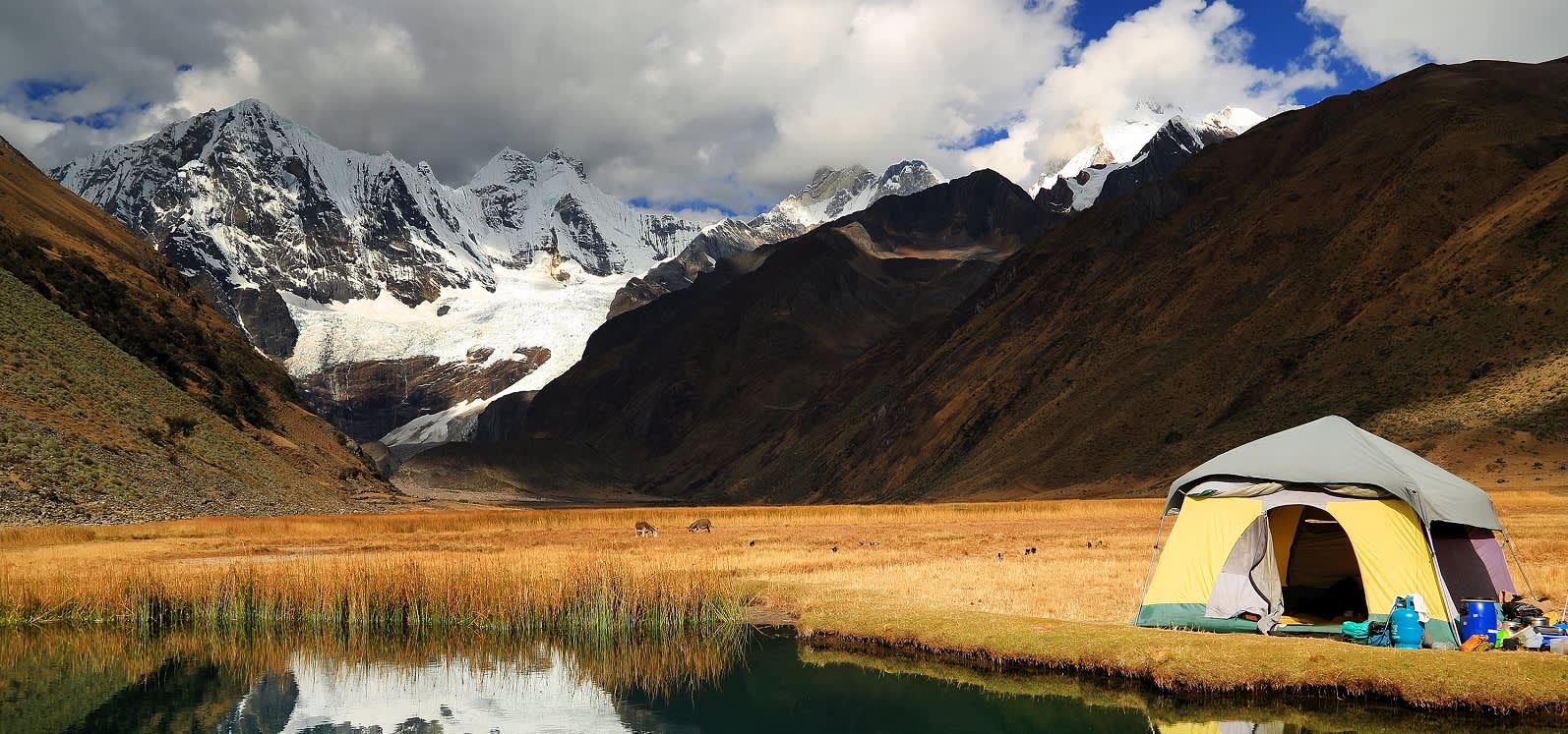 mountain warehouse foldable backpack