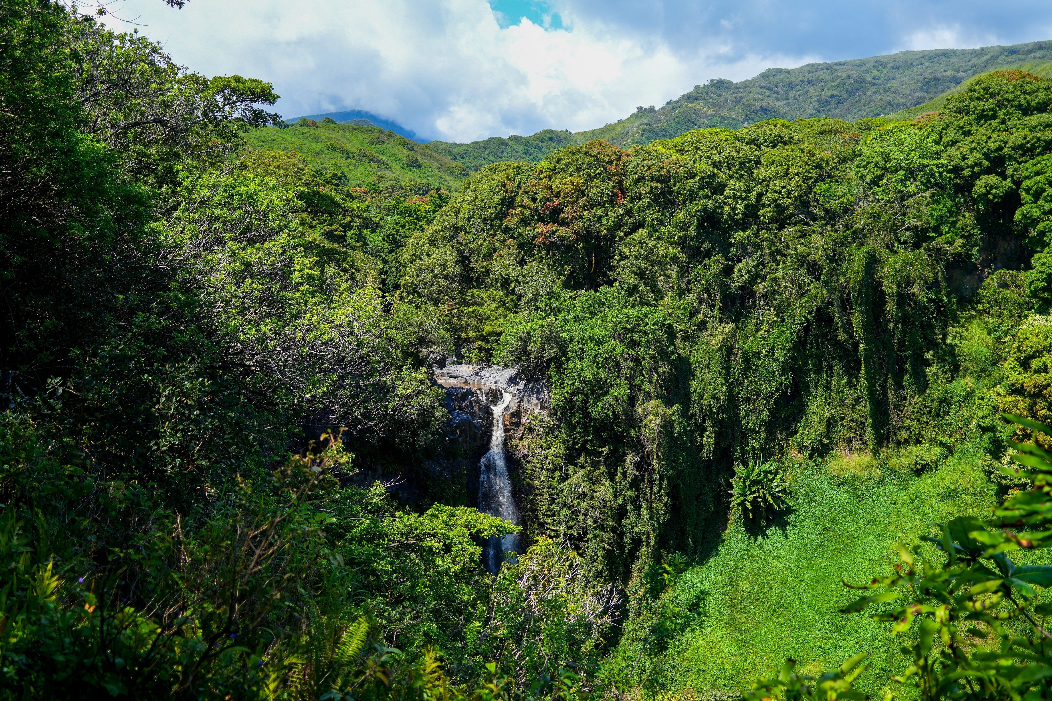 Party Zone Maui - Maui Family Magazine