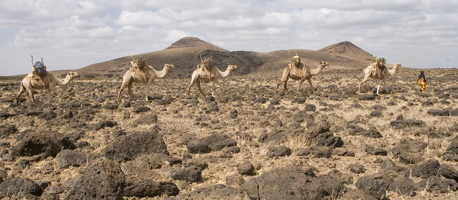 desert safari kenya