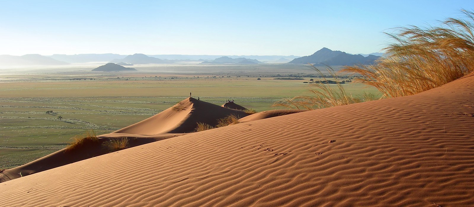 south african deserts