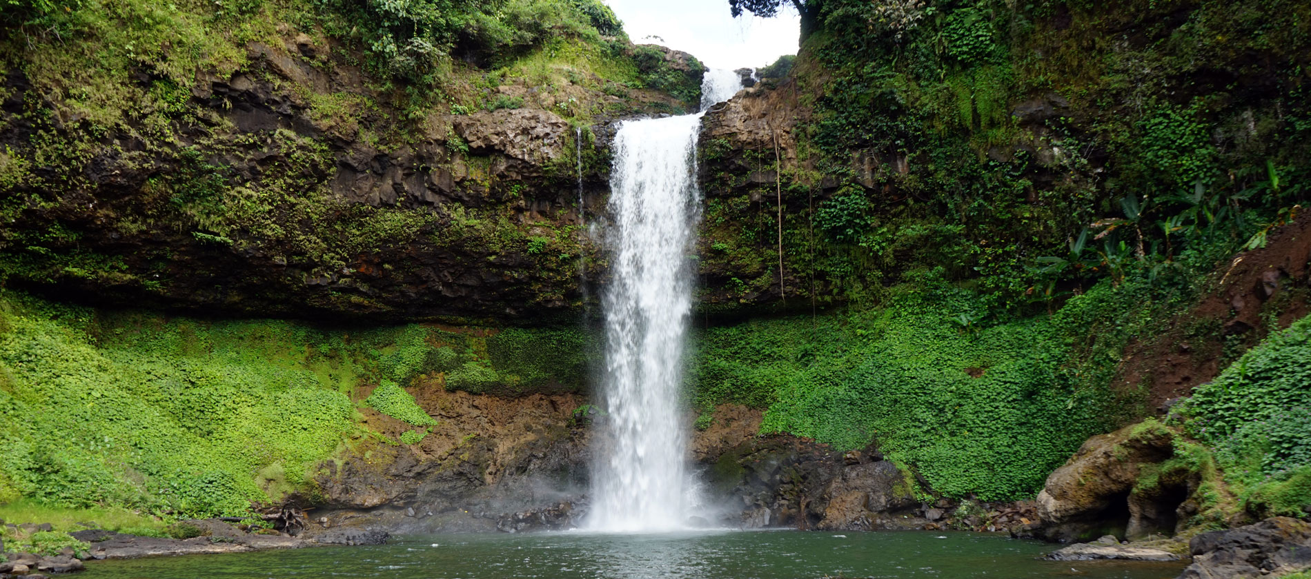 bolaven plateau tour