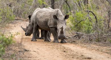 Example private tour: Road Trip: South Africa and eSwatini Example private tour: Road Trip: South Africa and eSwatini
