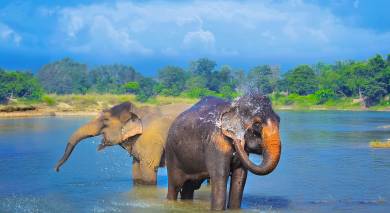 Empfohlene Individualreise, Rundreise: Höhepunkte von Nepal und Bhutan Empfohlene Individualreise, Rundreise: Höhepunkte von Nepal und Bhutan