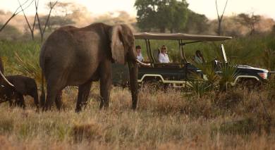 Empfohlene Individualreise, Rundreise: Kenia – Flug-Safari und Strand Empfohlene Individualreise, Rundreise: Kenia – Flug-Safari und Strand