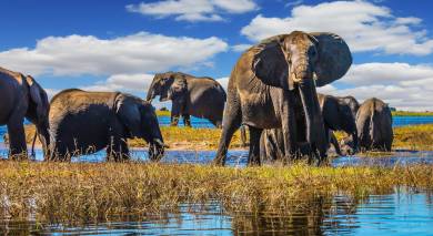 Empfohlene Individualreise, Rundreise: Victoriafälle, Safaris in Botswana und Strand auf Mauritius Empfohlene Individualreise, Rundreise: Victoriafälle, Safaris in Botswana und Strand auf Mauritius
