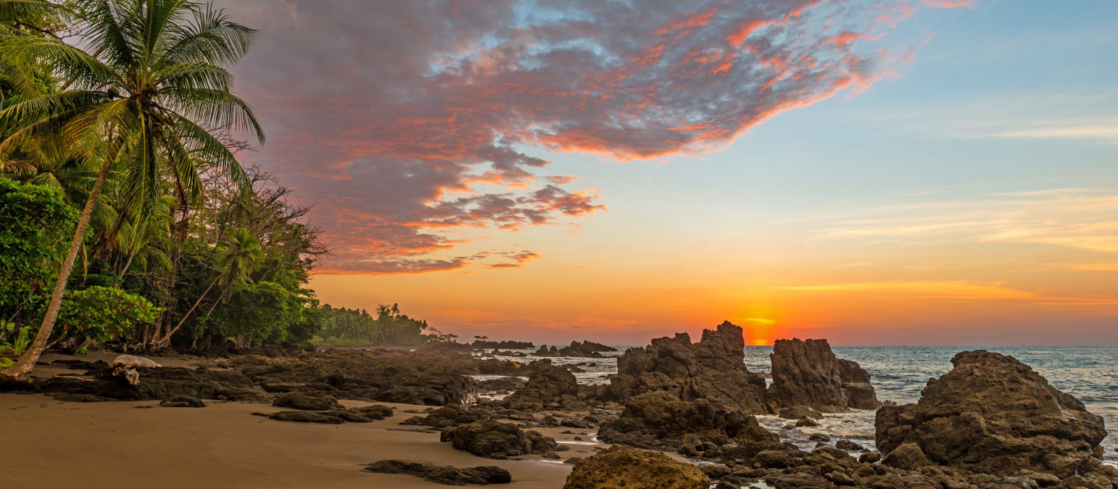 Osa Peninsula Tours & Costa Rica Trip Enchanting Travels