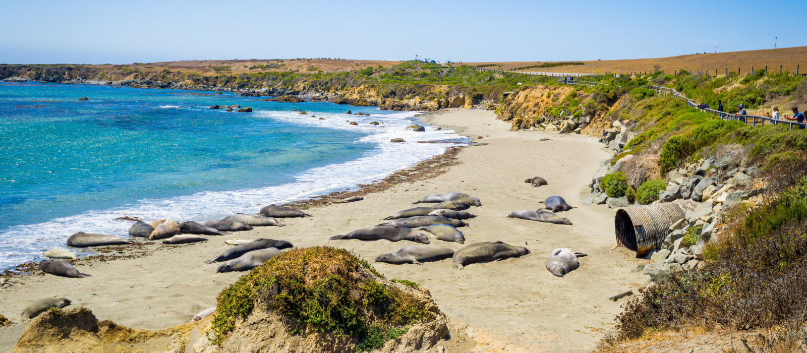 Reiseziel San Simeon in USA Enchanting Travels