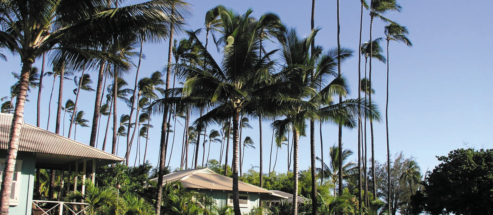 Waimea Plantation Cottages Hotel In Hawaii Enchanting Travels