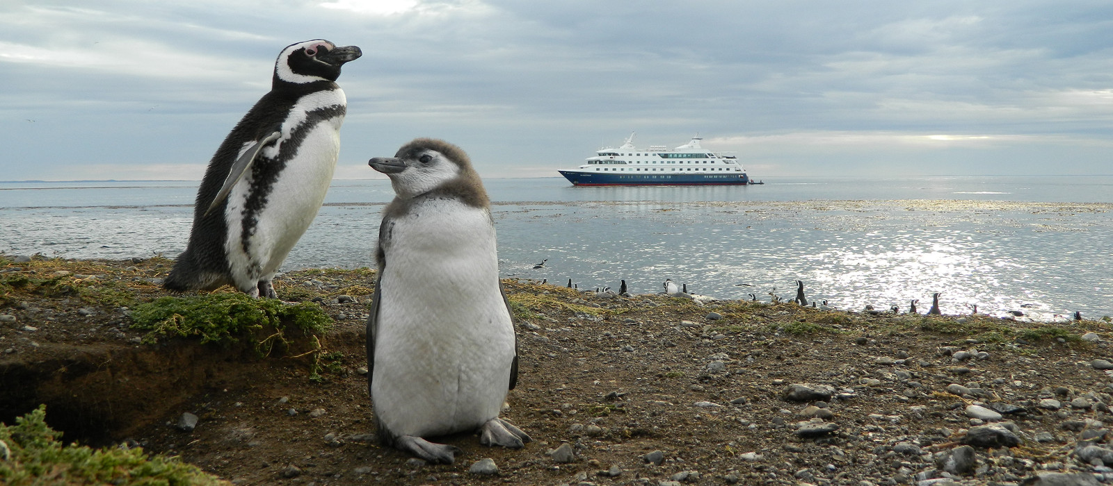 Stella Australis In Patagonien Enchanting Travels