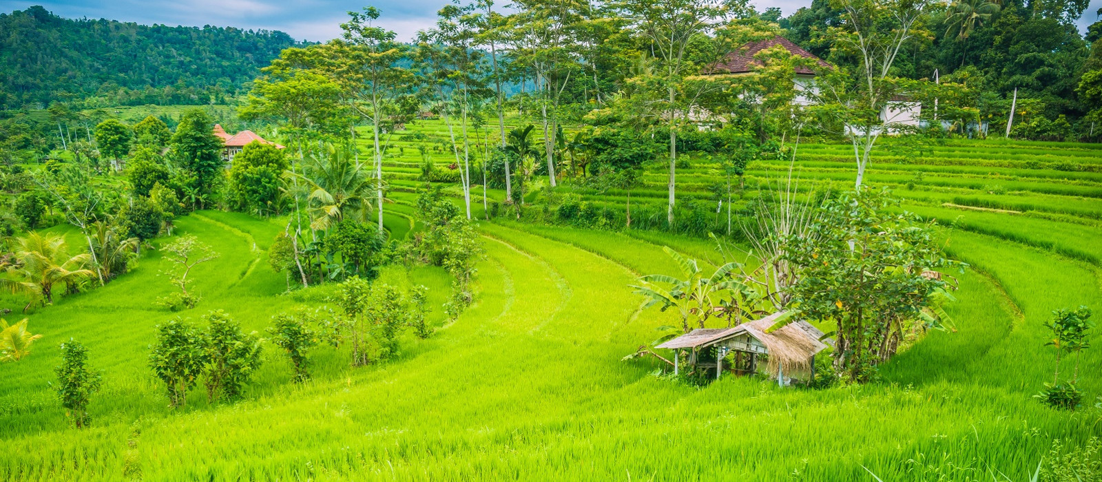 Sidemen Indonesien Individualreisen Enchanting Travels