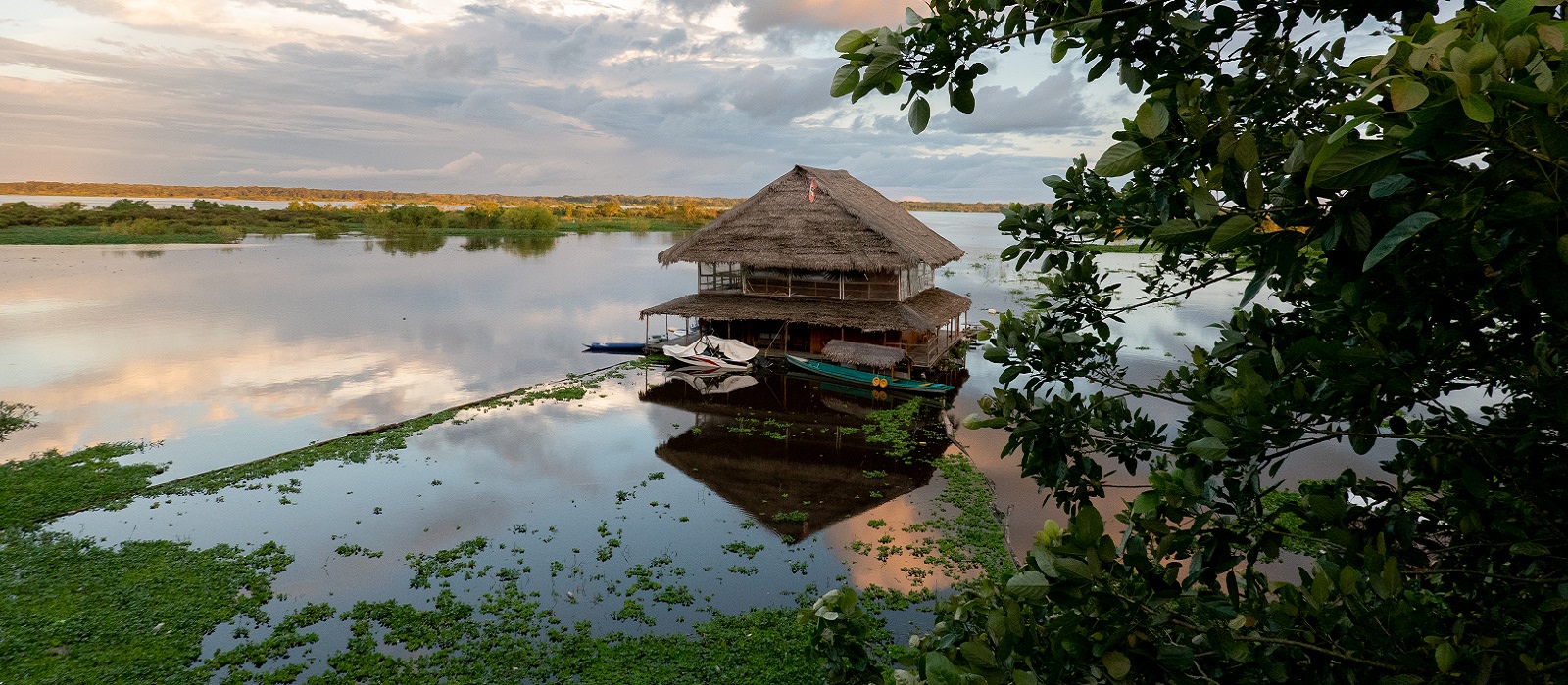 Iquitos Tours Peru & Peru Trip Enchanting Travels