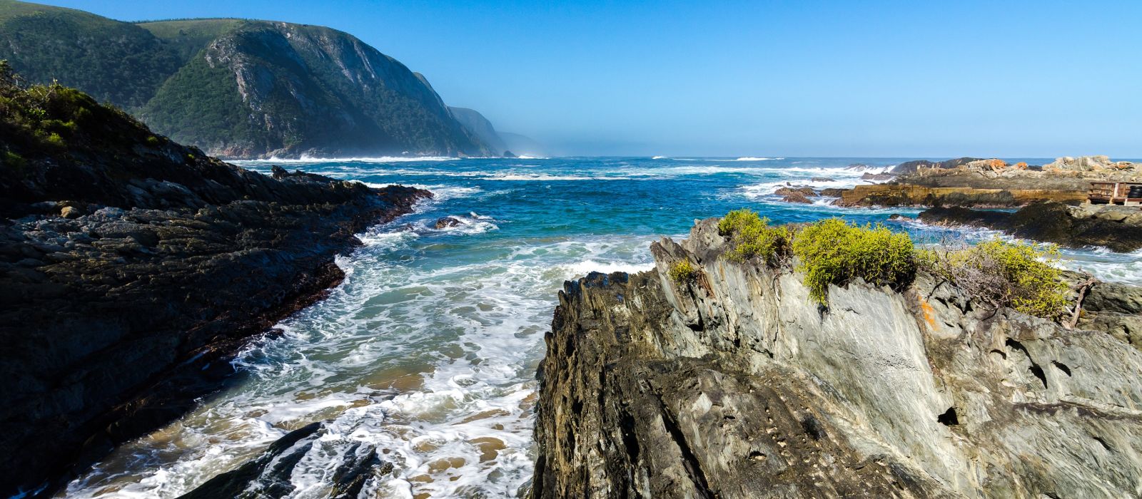 Exclusive Travel Tips for Your Destination Tsitsikamma National Park in South Africa Exclusive Travel Tips for Your Destination Tsitsikamma National Park in South Africa