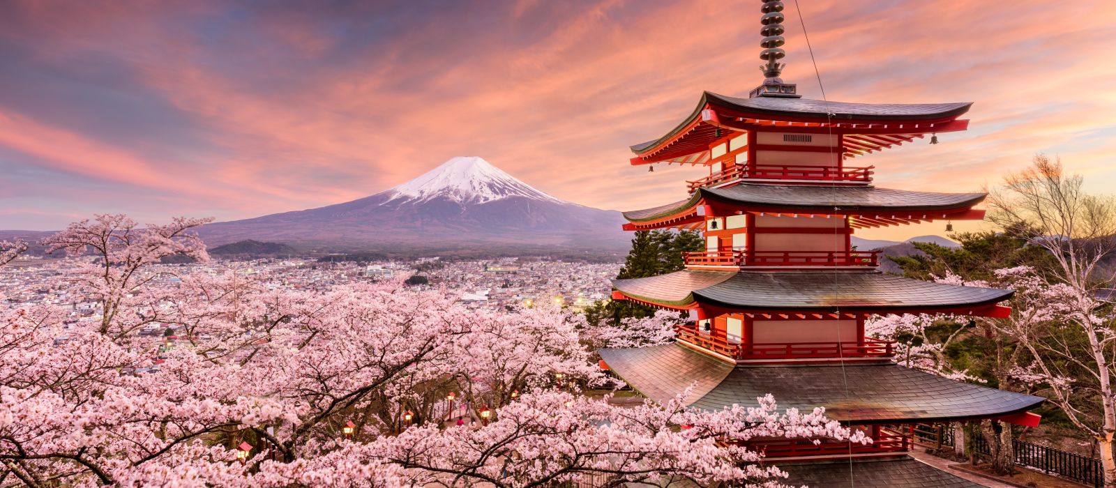 Exclusive Travel Tips for Your Destination Mt Fuji in Japan