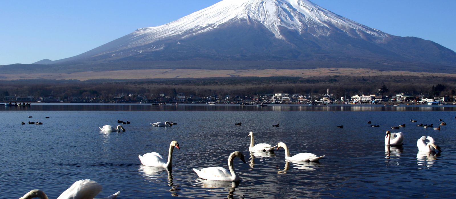 Exclusive Travel Tips for Your Destination Lake Kawaguchiko in Japan