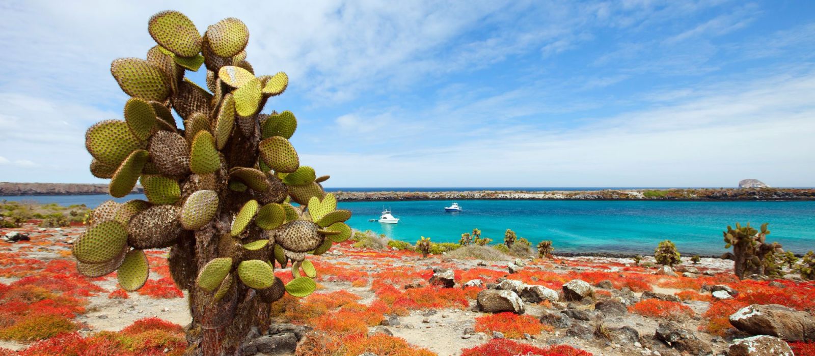 Exclusive Travel Tips For Galapagos Islands In Ecuador - 