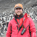 Celebrate World Penguin Day by Counting Penguin Chicks with Oxford Researchers