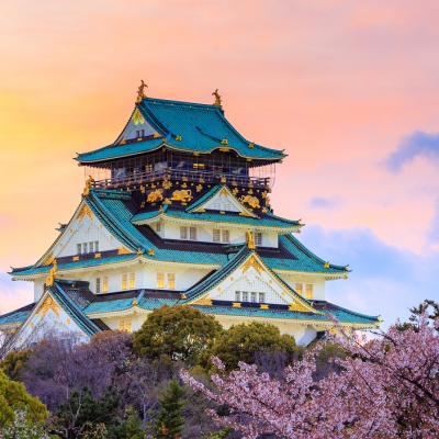 Enchanting Travels Japan Tours Twilight at Osaka castle during Cherry blossoms season in Osaka, Japan - History of Japan