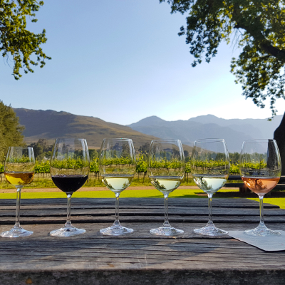 Best Things To Do in South Africa