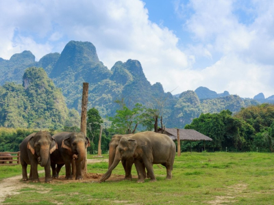 Elephant Hills Tented Camp