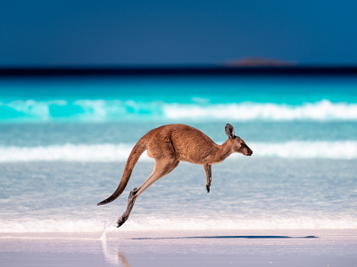 The Top 7 Places to Go in Australia