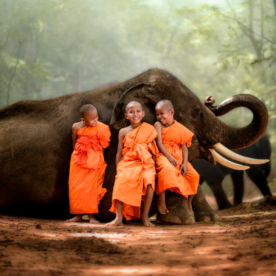 Thailand Tours
