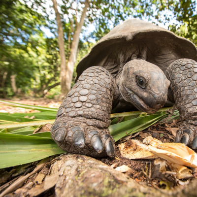 Seychellen Sehenswürdigkeiten
